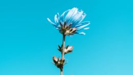 Online Study Group Meeting for Monday (12/4/2023)