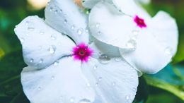 Online Study Group Meeting for Monday (6/28/2021)