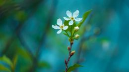 Online Study Group Meeting for Monday (6/7/2021)