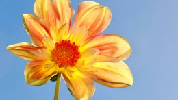 Online Study Group Meeting for Monday (6/28/2021)