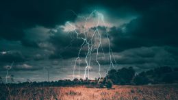 Student Q&A with Guy on "Go Beyond Painful Limitation to Realize Fearless Being" (6/30/21)