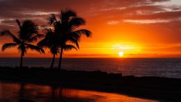 Online Study Group Meeting for Monday (1/23/2023)