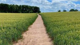 The Path to Enlightenment Requires You Cultivate this Power