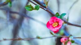 Truth Is Always Saying: "I Want You To Be Still"