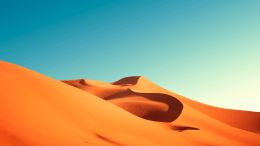 Online Study Group Meeting for Monday (2/26/2024)