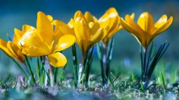 Unleash Yourself from Self-Limiting Influences