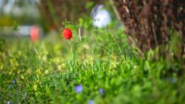 Online Study Group Meeting for Monday (10/5/2020)