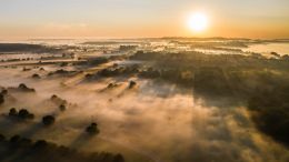 Go Beyond Painful Limitation to Realize Fearless Being