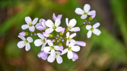 Student Q&A with Guy on "The Real Road to Spiritual Freedom Starts Here" (8/23/20)