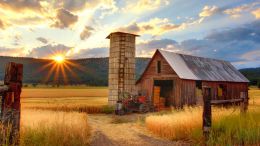 Online Study Group Meeting for Monday (1/16/2023)