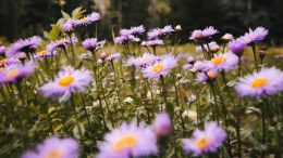 Unleash the Power of Present Living