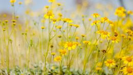 Online Study Group Meeting for Monday (2/22/2021)