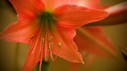 Online Study Group Meeting for Monday (6/28/2021)