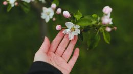 Student Q&A with Guy on "Go Beyond Painful Limitation to Realize Fearless Being" (6/30/21)