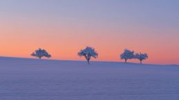 Student Talks on "Discover a Love for Life that Never Dies" (12/29/23)