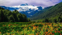 Student Q&A with Guy on "Start Helping Yourself and Everyone You Meet Become a Better Human Being" (9/27/20)