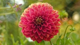 How to Free Yourself from Fear and Worries by Walking Directly Into Them