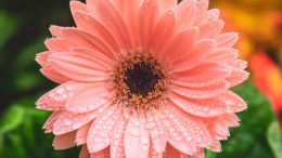 Online Study Group Meeting for Monday (10/2/2023)