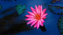 Relationship With a Whole New Order of Freedom