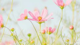 If We Want To Receive Love We Have To Give It