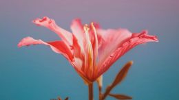 Everything Is Already a Part of Your Consciousness