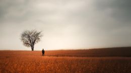 Student Q&A with Guy on "Go Beyond Painful Limitation to Realize Fearless Being" (6/30/21)