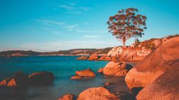 Online Study Group Meeting for Monday (10/3/2022)