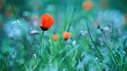 How To Change the Life You're Giving Yourself