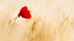 How to Break Free from Any Addiction