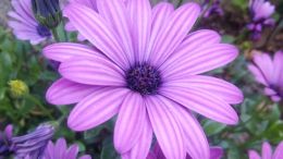 Online Study Group Meeting for Monday (3/4/2024)