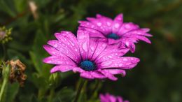 Online Study Group Meeting for Monday (2/27/2023)