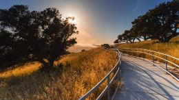 What Am I Doing on This Planet?