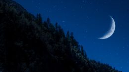 Student Q&A with Guy on "Go Beyond Painful Limitation to Realize Fearless Being" (6/30/21)