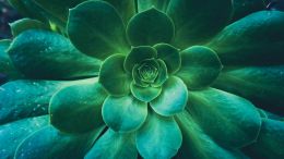 Online Study Group Meeting for Monday (5/4/2020)