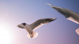 Go Beyond Fear and Sorrow By Being All That You Are