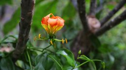 Student Q&A with Guy on "Start Tipping the Scales in Favor of Your Spiritual Success" (5/19/21)