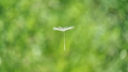 Student Q&A with Guy on "Go Beyond Painful Limitation to Realize Fearless Being" (6/30/21)