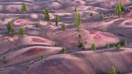 Student Q&A with Guy on "Go Beyond Painful Limitation to Realize Fearless Being" (6/30/21)