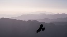 Release Yourself From This Painful Illusion and Watch Resentment Disappear