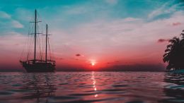 Student Q&A with Guy on "To Find Yourself You Must Learn to Look in the Right Place" (4/24/24)