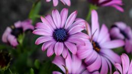 Saturdays with Guy (6/5/2021)