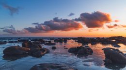 Saturdays with Guy (1/11/2020)