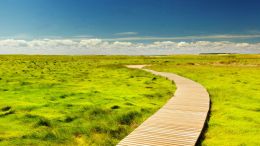 Student Q&A with Guy on "Go Beyond Painful Limitation to Realize Fearless Being" (6/30/21)