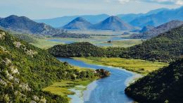 Online Study Group Meeting for Monday (3/20/2023)