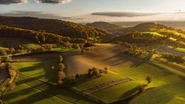 Three New Choices That Dismiss Dark Conditions