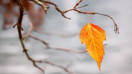 Move from the Mental How into the Spiritual Now