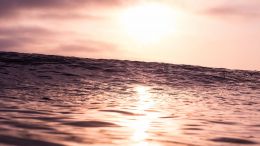 Learning to Ride the Waves of Consciousness