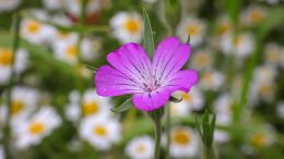 Your Spiritual Life is Nothing Personal