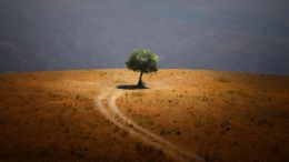 Love Contains All Possibilities