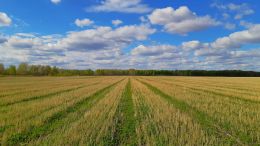 Student Talks on "Find the One True Answer to Any Painful Question" (7/2/21)